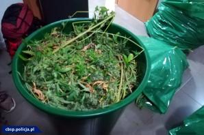 [VIDEO] Polsko-hiszpański cios w przestępczość narkotykową