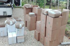 [VIDEO] CBŚP, KaOSG i Prokuratura Krajowa rozbili grupę, której członkowie przemycili 15 ton marihuany i sprzedali 300 kg amfetaminy