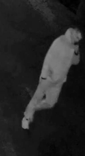 [VIDEO] Oto podpalacze z Łodzi. Kto ich rozpoznaje? 