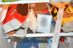 [VIDEO] Wprowadzili na 