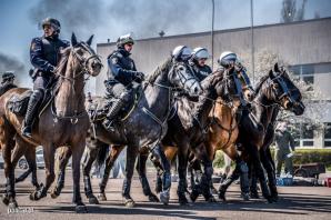 Sprawdzian dla policyjnych koni