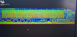 [VIDEO] Marihuana trafiła do Polski z Kalafiorami