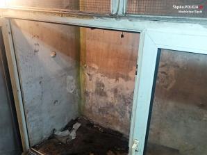 „Cokolwiek uczyniliście jednemu z tych braci moich najmniejszych, Mnieście uczynili”. 40-latka odpowie za swe czyny przed sądem