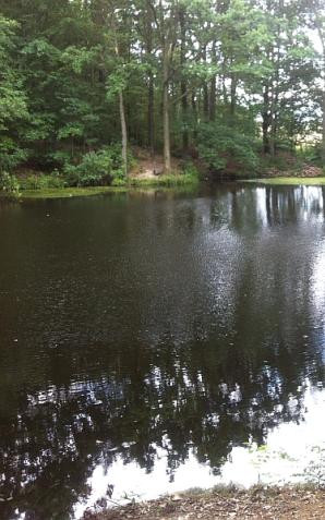 [VIDEO] Ludzie Rutkowskiego poszukują zaginionego w tajemniczych okolicznościach Zenona Kozłowskiego 