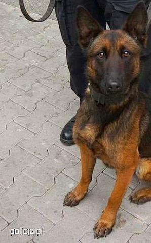 Kasja odnalazła zaginionego mężczyznę