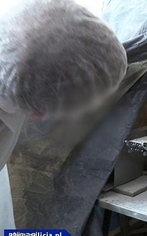 [VIDEO] Województwo Kujawsko-Pomorskie: Nielegalnie produkowali leki na potencję i sterydy, warte 9 mln zł. Dorwała ich poznańska Policja