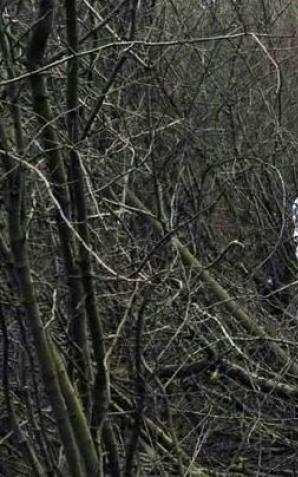 CBŚP i KWP w Krakowie zatrzymali podejrzanych o porwanie dziecka dla okupu