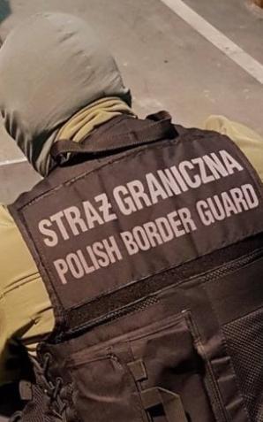 Poznań: Straż Graniczna udaremniła nielegalny wywóz broni do USA!