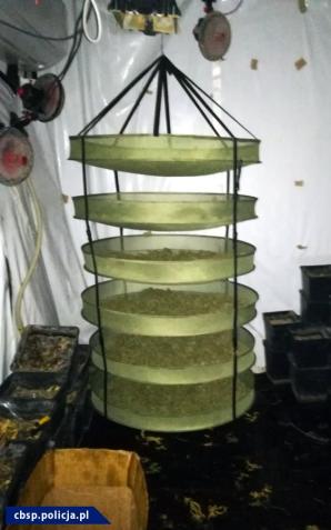 [VIDEO] Polsko-hiszpański cios w przestępczość narkotykową