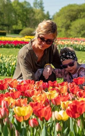 Wybierz się do Ogrodu Botanicznego i zobacz dziesiątki tysięcy rozkwitających tulipanów