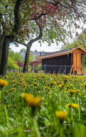 Majówka z tężniami i fontannami