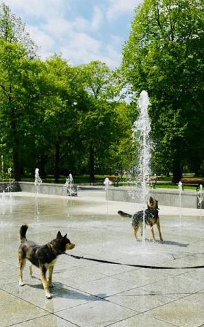 Łódź: Uruchomiliśmy fontanny po zimowej przerwie