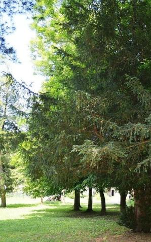 Bystrzyca Kłodzka: ten park nie tylko jest ich dumą