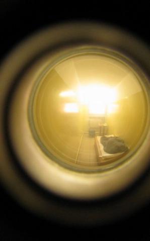 Zabił psa siekierą