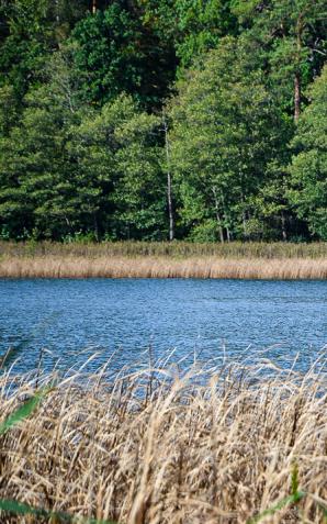 Egipt, Syria, Turcja, Jordania oraz Jemen w desancie na polski brzeg. Siły specjalne Białorusi w akcji