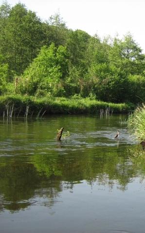 Dobiega końca jeden z najdłuższych projektów z udziałem funduszy europejskich „Niebieski korytarz” na Redze 