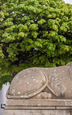 Konserwacja kamiennych rzeźb lwów przed dziedzińcem Pałacu Prezydenckiego