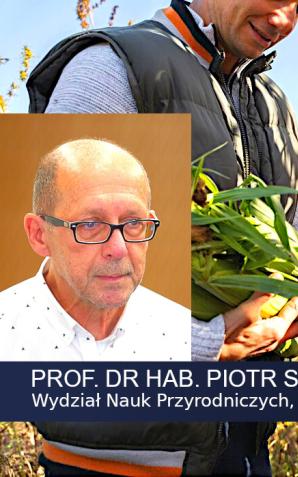 [VIDEO] Rośnie liczba producentów ekologicznych zarówno w Polsce, jak i innych krajach Unii. Wciąż jednak jest to ułamek produkcji rolnej