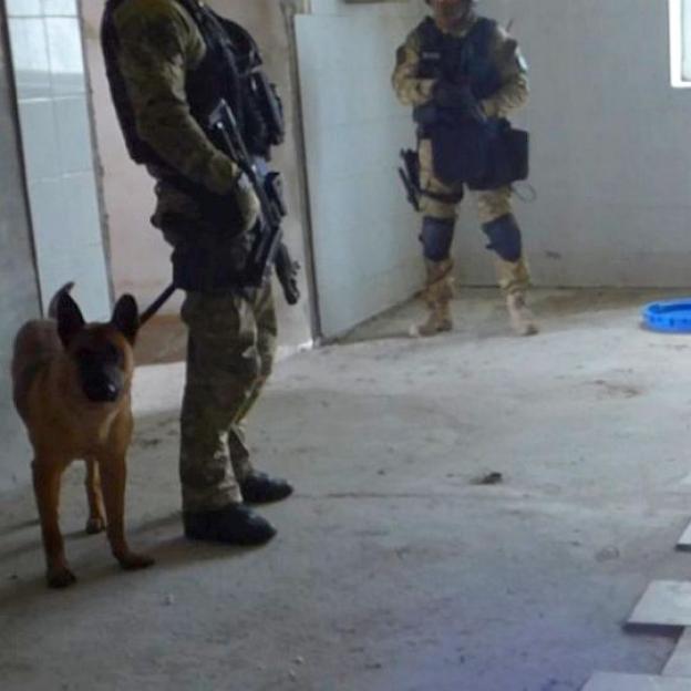 56 osób zatrzymanych, 45 aresztowanych, 228 zarzutów - to efekt współpracy CBŚP i Policji z Niemiec