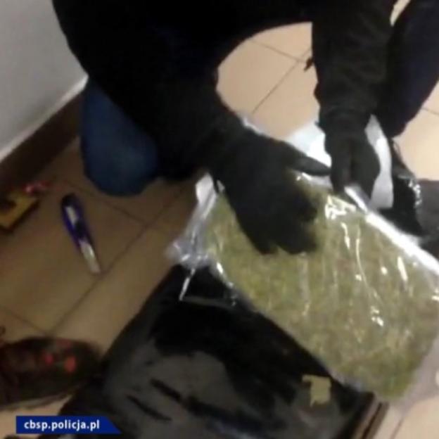 Marihuana trafiła do Polski w transporcie z mandarynkami z Hiszpanii