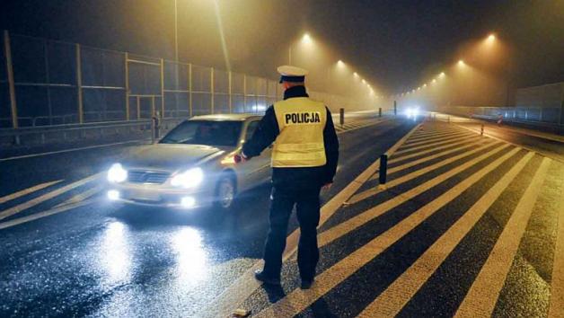 [VIDEO] Na drodze szybkiego ruchu lądowały gęsi. Nocna akcja policjantów!