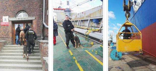 Poszukiwany za przestępstwo seksualne, zatrzymany na okręcie