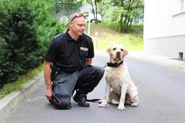 Pies Maniek pomógł w poszukiwaniach zaginionego mężczyzny