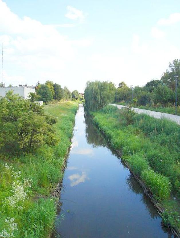 Policjanci uratowali starszą kobietę tonącą w Kanale Bródnowskim!