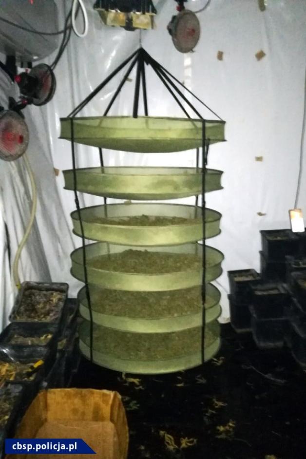 [VIDEO] Polsko-hiszpański cios w przestępczość narkotykową