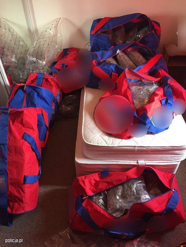 Dzięki CBŚP, w Irlandii zatrzymano dwóch podejrzanych i zabezpieczono narkotyki