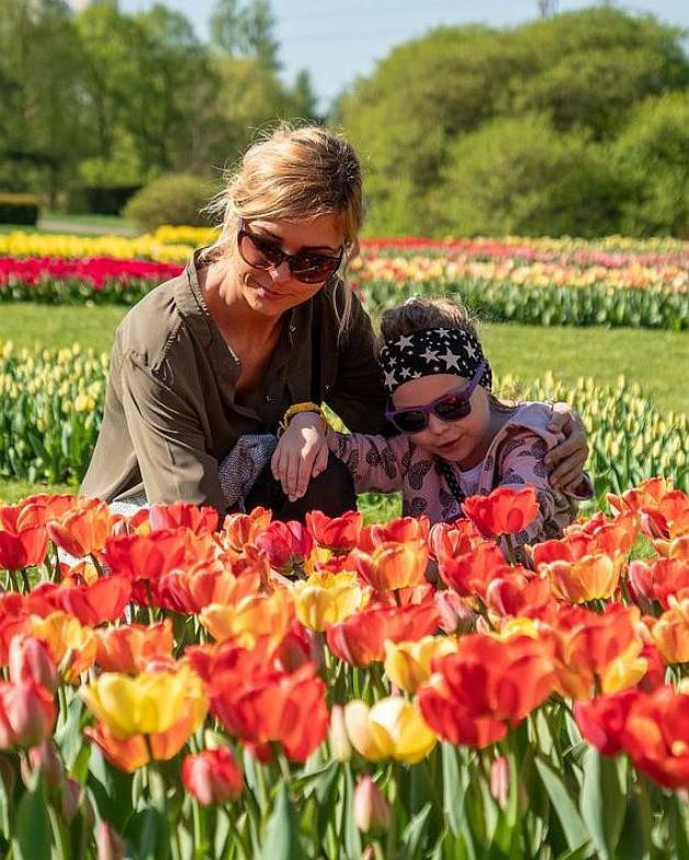 Wybierz się do Ogrodu Botanicznego i zobacz dziesiątki tysięcy rozkwitających tulipanów