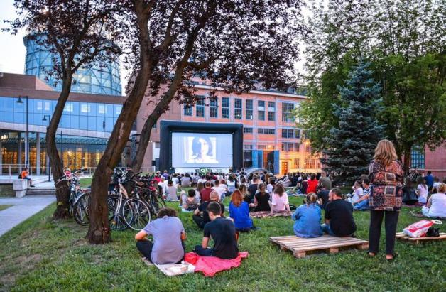 Filmy latem? Tylko w plenerze. Oto program letnich projekcji