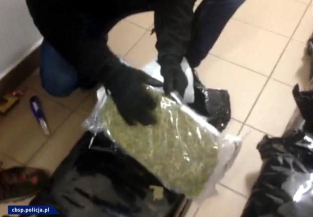 Marihuana trafiła do Polski w transporcie z mandarynkami z Hiszpanii