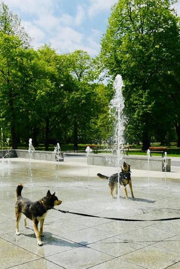 Łódź: Uruchomiliśmy fontanny po zimowej przerwie