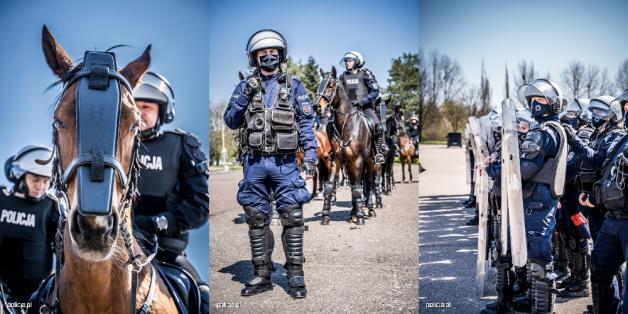 Sprawdzian dla policyjnych koni