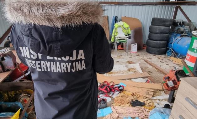 Policjanci i Służba Weterynaryjna odebrały 43 psy