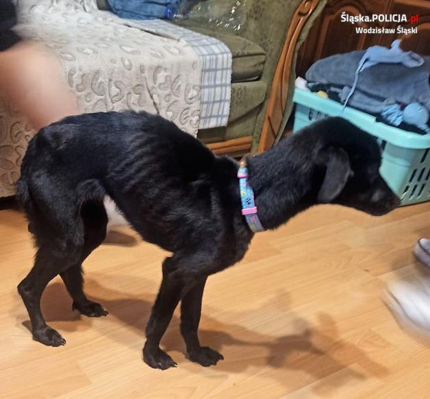 „Cokolwiek uczyniliście jednemu z tych braci moich najmniejszych, Mnieście uczynili”. 40-latka odpowie za swe czyny przed sądem