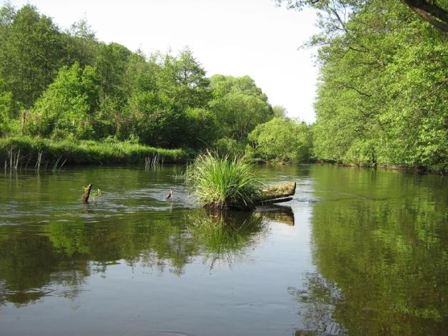 Dobiega końca jeden z najdłuższych projektów z udziałem funduszy europejskich „Niebieski korytarz” na Redze 